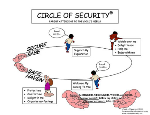 Curs Circle of Security